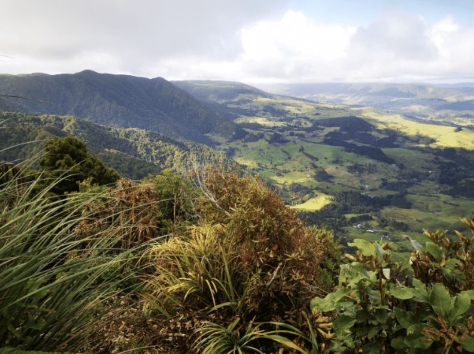 10 Things to Do in Northland in Summer